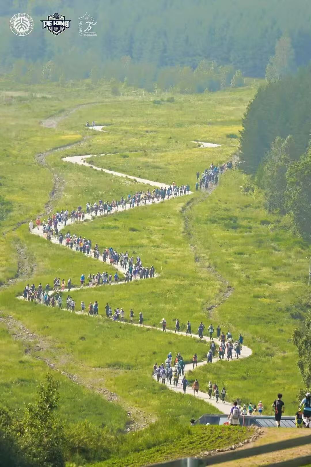 长队在绿色山谷赛道行进
