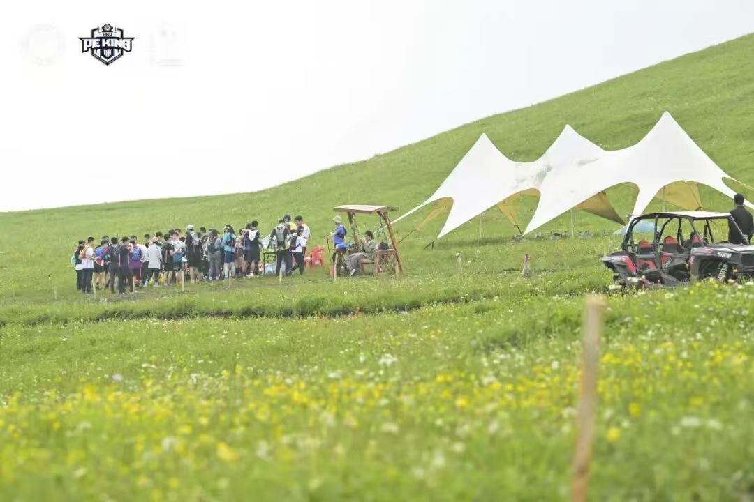 开阔草地上的赛事现场